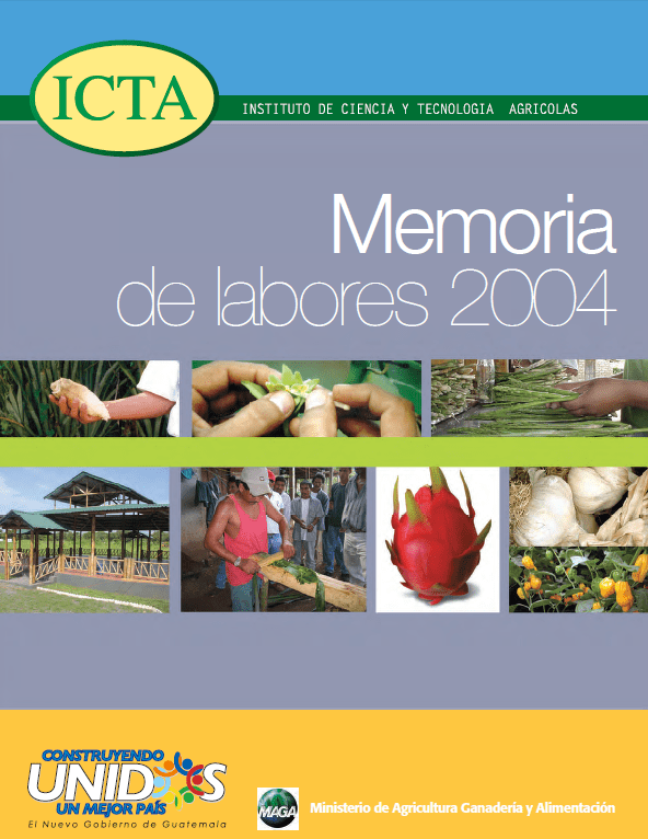 Memoria de Labores ICTA 2004